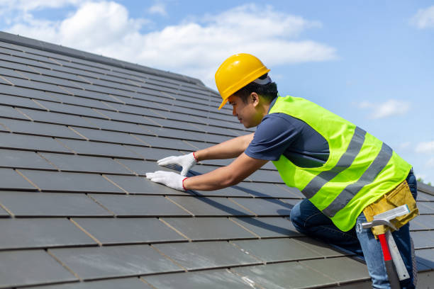 Quick and Trustworthy Emergency Roof Repair Services in Warren Park, IN
