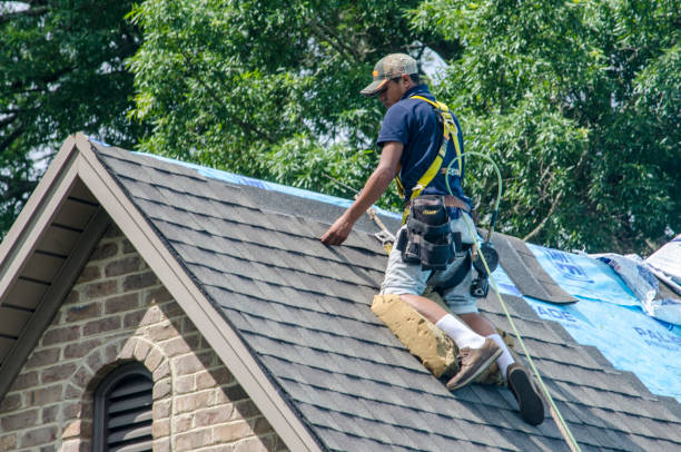 Best Tile Roofing Contractor  in Warren Park, IN